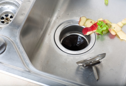 Some apple peels being put in a garbage disposal.